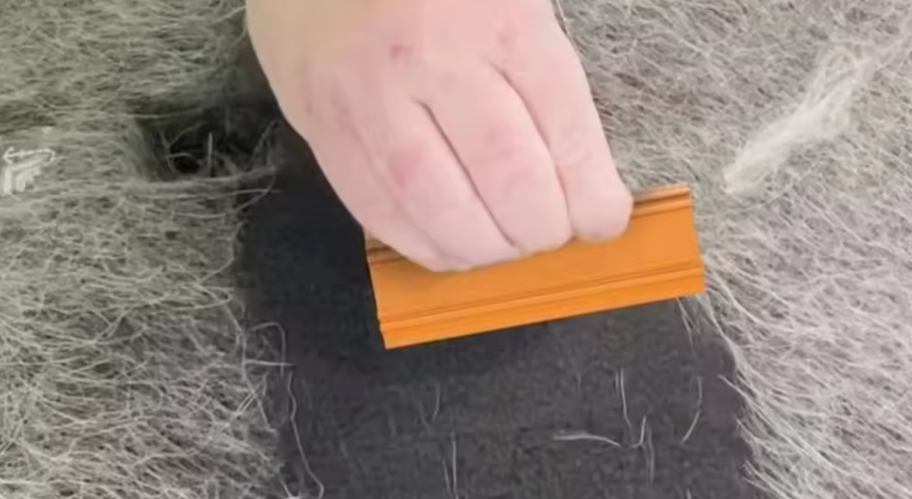 Slik fjerner du dyrehår fra bilen